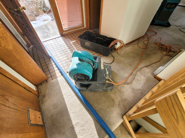 Best Water damage restoration near me  in Poland, OH