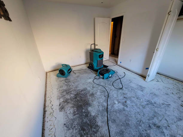 Best Carpet water damage restoration  in Poland, OH