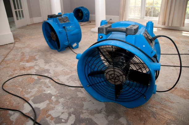 Best Water damage repair service  in Poland, OH