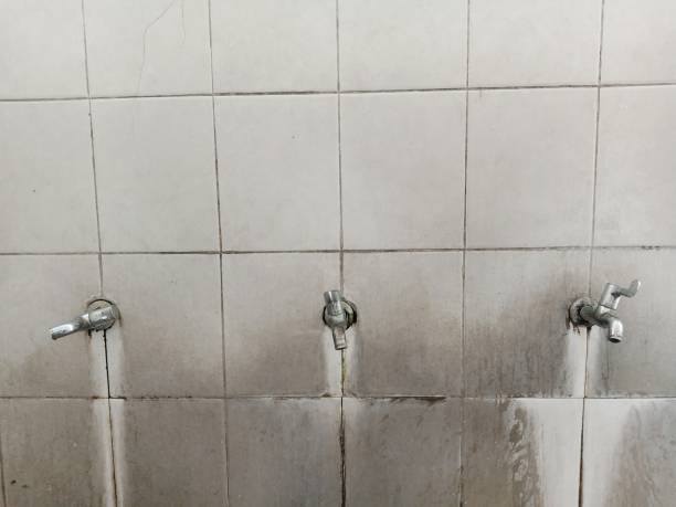 Best Flood restoration services  in Poland, OH