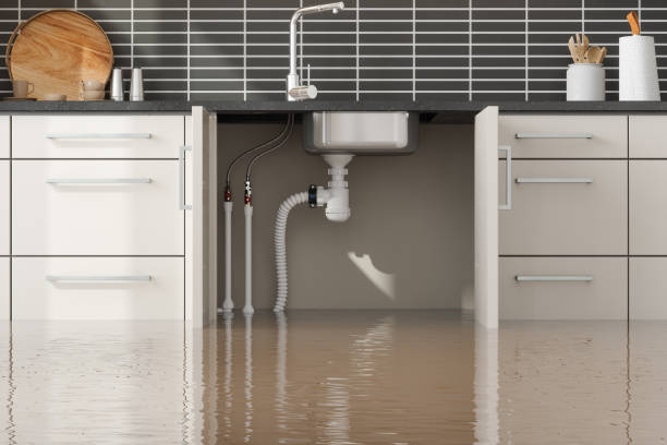 Best Mold removal after water damage  in Poland, OH